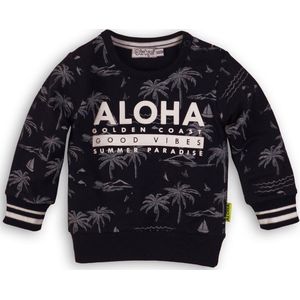 Dirkje - Jongens - Trui - Aloha - Maat 56