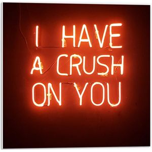 Forex - Rode Neonletters: ''I Have A Crush On You'' - 50x50cm Foto op Forex