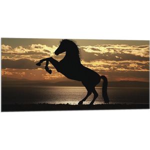 Vlag - Silhouet van Stijgend Paard aan de Kust tijdens Zonsondergang - 100x50 cm Foto op Polyester Vlag