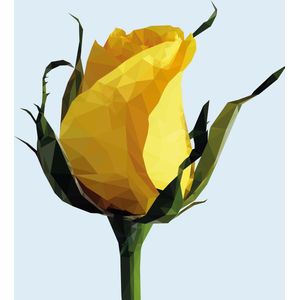 WyArt - Kunst aan de muur - bloemen - gele roos - 1000x1000 - acrylaat - 4mm