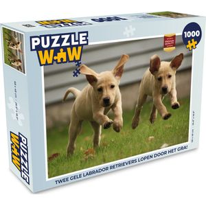 Puzzel Twee gele Labrador Retrievers lopen door het gras - Legpuzzel - Puzzel 1000 stukjes volwassenen