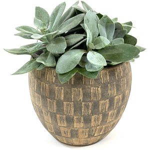 Lucy’s Living Luxe Bloempot LUXY Beige – ø 19 x 14 cm - binnen – buiten – luxe – accessoires – tuin – decoratie – bloemen - aardewerk - planten - plantenhouder