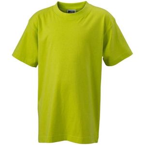 James and Nicholson Kinderen/Kinderen Basic Tee (Zuurgeel)