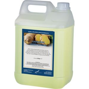 Handzeep Fresh Ginger 5 liter - navulling