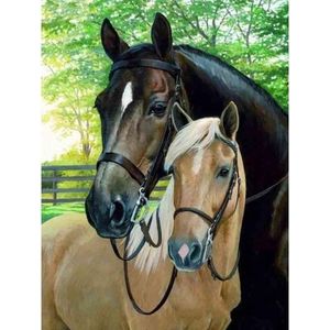 Diamond painting - Twee prachtige paarden - Geproduceerd in Nederland - 30 x 40 cm - dibond materiaal - vierkante steentjes - Binnen 2-3 werkdagen in huis