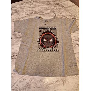 T-shirt - Gildan - Spiderman - Gris Melange - Mt 6Y