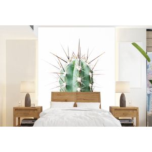 Cactus - Planten - Natuur - Groen - Behangpapier