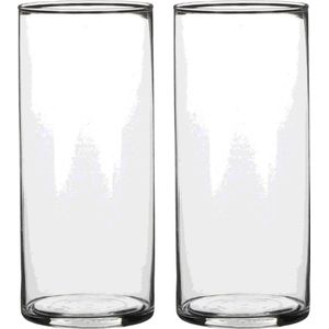 2x Ronde bloemen vaas/vazen van helder glas 19 cm - Voor verse of kunst bloemen en boeketten - Glazen vazen transparant 2 stuks
