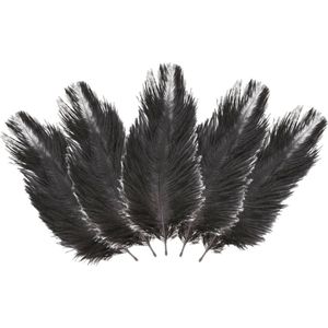 Chaks Struisvogelveren/sierveren - 5x - zwart - 20-25 cm - decoratie/hobbymateriaal