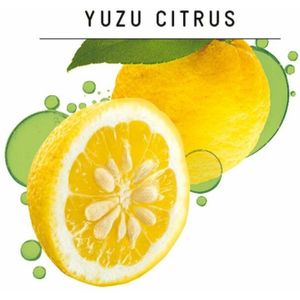 Guhl - Shampoo - Fris & Luchtig - 250 ml - 1 stuk