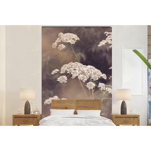 Plant - Wit - Natuur - Bloemen - Behangpapier