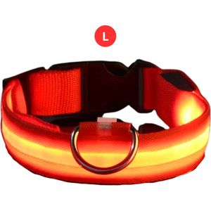 Nivard Lichtgevende Halsband - Verlichte Halsband - Lichtgevend - Hond - Kat - Lampje - Hondenhalsband Led - Nekband - Rood L