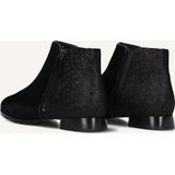 Hassia - Enkellaarzen - Zwart - Suède