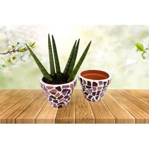 Little Creations DIY pakket - Mozaïek bloempotter (2 stuks) oud-roze - Hobbypakket volwassenen - Knutselpakket voor volwassenen - mozaiek pakket