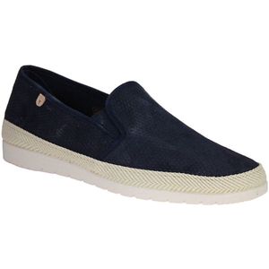 Verbenas Boris Blauwe Moccasin