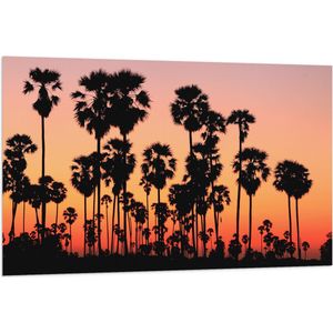 Vlag - Silhouet van Vele Palmbomen bij Oranjekleurige Lucht - 120x80 cm Foto op Polyester Vlag