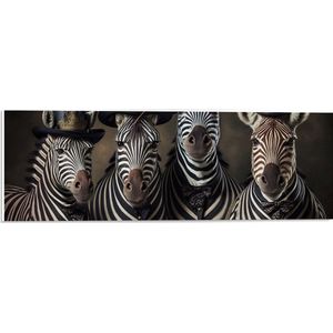 PVC Schuimplaat- Groep Zebra's met Komische Hoeden - 60x20 cm Foto op PVC Schuimplaat