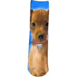 Funny Honden kindersokken - Maat 31-34 - Multicolor - 2 paar