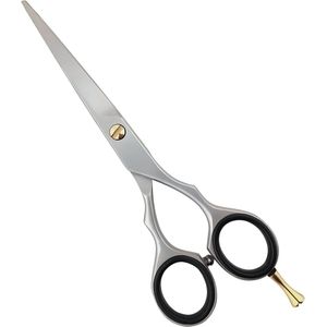 Guardian Beauty Professionele Haarschaar – Precisieschaar van Duits Roestvrij Staal voor Salon, Kapsalon en Thuisgebruik (6 Inch, Zilver met een vleugje goud)