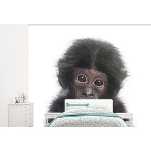 Aap - Dieren - Natuur - Chimpansee - Behangpapier