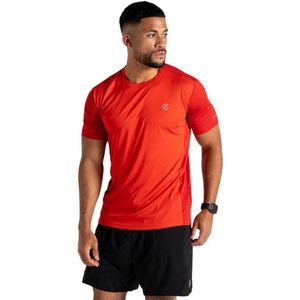 Dare 2B - Discernible III - Broek - Lichtgewicht - 100% Gerecycled Polyester