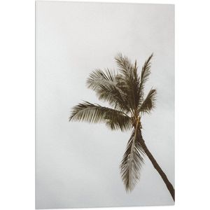 Vlag - Palmboom in de Wind - 50x75 cm Foto op Polyester Vlag
