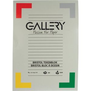 Gallery Bristol tekenblok formaat 21 x 297 cm  A4 200 g m² 20 vel