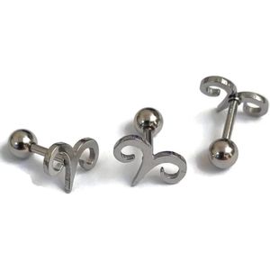 Zilverkleurige Helixpiercing Krul van Chirurgisch Staal