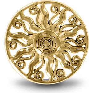 LOCKits 982500042 - Stalen Munt - 33 mm - Goudkleurig