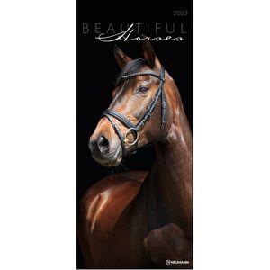 Beautiful Horses 2023 30x70