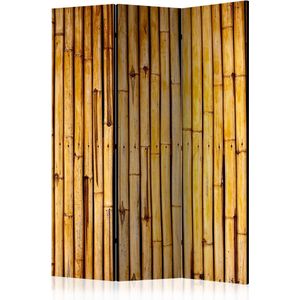 Kamerscherm - Scheidingswand - Vouwscherm - Bamboo Garden [Room Dividers] 135x172 - Artgeist Vouwscherm