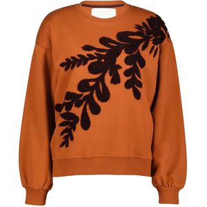 DIDI Dames Sweater Heart Ginger brown maat 40