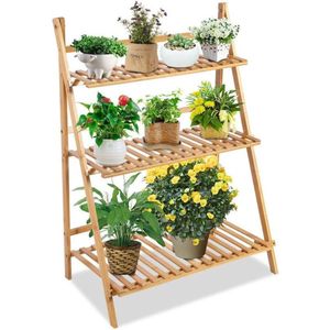 ApexArte® Verhoogd Tuinbed - Plantenrek - Groentebed