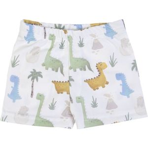 Zwemshort - Zwemboxer - Met zonnebescherming - 24/36 Maanden - Dino's - UPF 50+