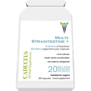 Multi-Straintestine 30 capsules