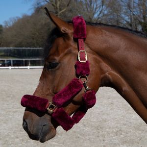 Cavar Bont Halster Bordeaux rood Full - halster - bonthalster - fauxfur - paarden spullen