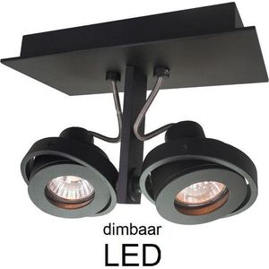 Artdelight - Plafondlamp Meist 2L - Zwart - 2x LED 4,9W 2700K - IP20 - Dimbaar
