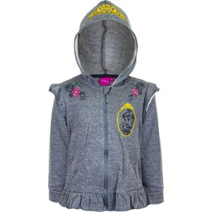 Disney Princess Hoodie met Rits Grijs 4 Jaar