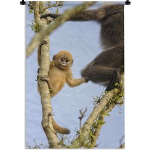 Wandkleed Junglebewoners - Jonge aap kijkend in de camera Wandkleed katoen 120x180 cm - Wandtapijt met foto XXL / Groot formaat!