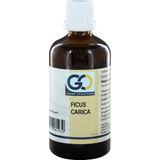 GO - Ficus Carica - Voedingssupplement - Biologisch - 6 ml