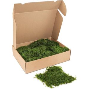 Kleine doos platmos - kleur mos: Forest Green (voor o.a. decoratie, mosschilderij of moswand).