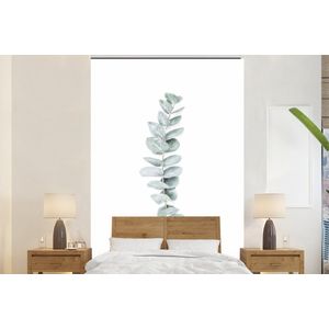 Plant - Groen - Natuur - Wit - Behangpapier