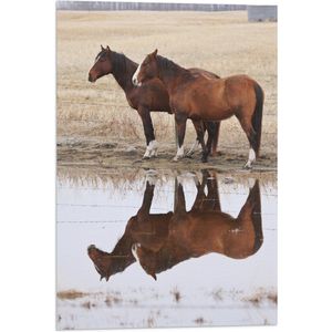 Vlag - Duo Paarden met Weerspiegeling in Water - 40x60 cm Foto op Polyester Vlag