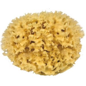 Natuurlijke zeesponzen - duurzaam en hypoallergeen - 1 stuk