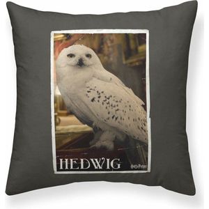 Kussenhoes Harry Potter Hedwig 50 x 50 cm