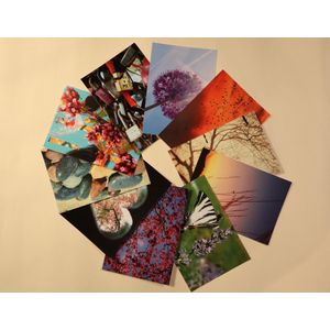 10 prachtige Fotokaarten in Cadeauverpakking - Ansichtkaarten set 'Inspiratie' - Postkaarten - Cadeau kaarten