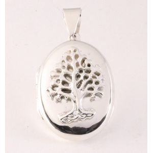 Hoogglans zilveren medaillon met levensboom