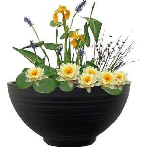 vdvelde.com - Mini Vijver Schaal met Planten Set - Geel - Voor 25 - 100 L - Complete mini vijverset - Plaatsing: -10 tot -20 cm