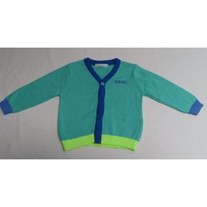 gilet - Unie - Fijn gebreid - Groen , blauw , geel - 1 jaar 80