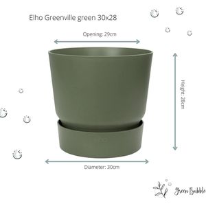 Green Bubble - Strelitzia Nicolai inclusief elho Greenville bruin Ø30 - 170 cm